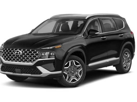 HYUNDAI SANTA FE 2023 5NMS4DAL9PH500584 image